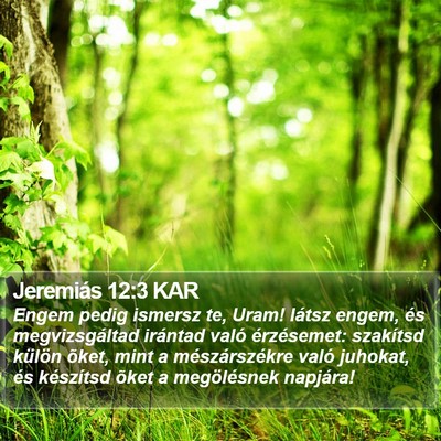 Jeremiás 12:3 KAR Bible Verse Image