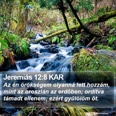 Jeremiás 12:8 KAR Bible Verse Image