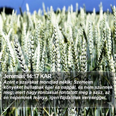 Jeremiás 14:17 KAR Bible Verse Image