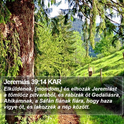 Jeremiás 39:14 KAR Bible Verse Image