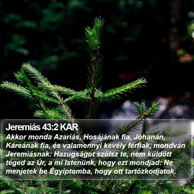 Jeremiás 43:2 KAR Bible Verse Image