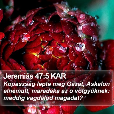 Jeremiás 47:5 KAR Bible Verse Image