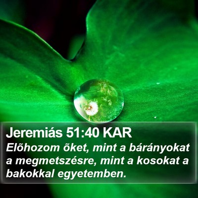 Jeremiás 51:40 KAR Bible Verse Image