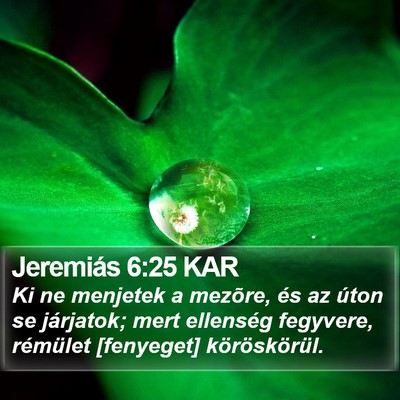 Jeremiás 6:25 KAR Bible Verse Image