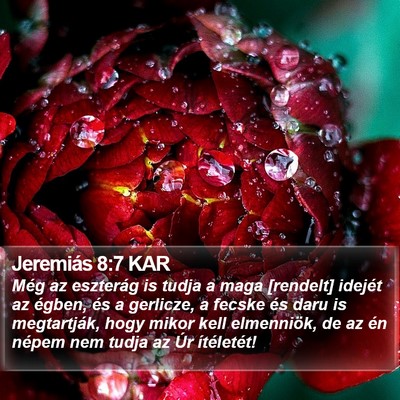 Jeremiás 8:7 KAR Bible Verse Image