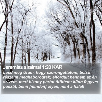 Jeremiás siralmai 1:20 KAR Bible Verse Image