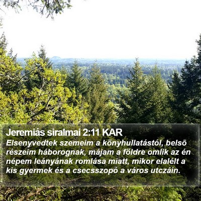 Jeremiás siralmai 2:11 KAR Bible Verse Image
