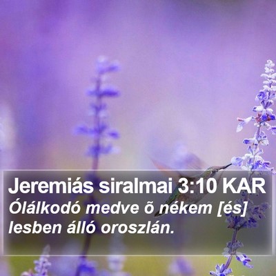 Jeremiás siralmai 3:10 KAR Bible Verse Image