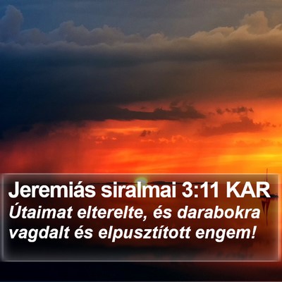 Jeremiás siralmai 3:11 KAR Bible Verse Image