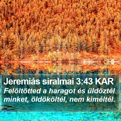 Jeremiás siralmai 3:43 KAR Bible Verse Image