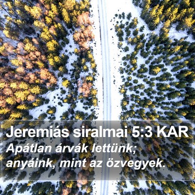 Jeremiás siralmai 5:3 KAR Bible Verse Image