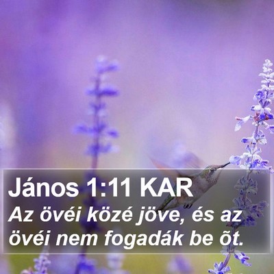 János 1:11 KAR Bible Verse Image