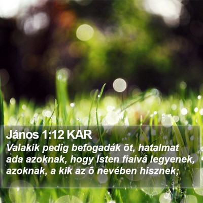 János 1:12 KAR Bible Verse Image