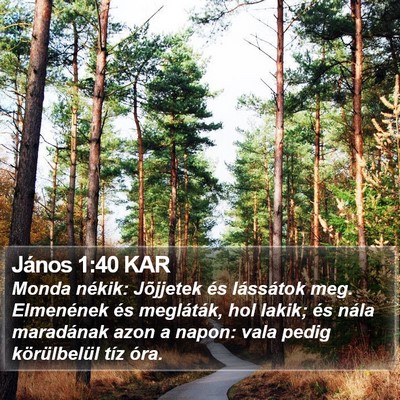 János 1:40 KAR Bible Verse Image