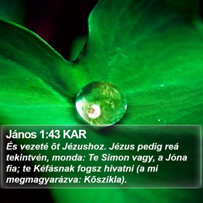 János 1:43 KAR Bible Verse Image