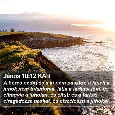 János 10:12 KAR Bible Verse Image