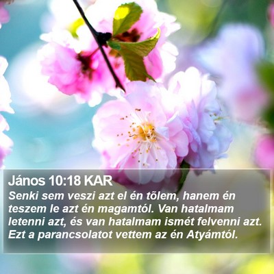János 10:18 KAR Bible Verse Image