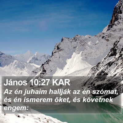 János 10:27 KAR Bible Verse Image