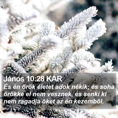 János 10:28 KAR Bible Verse Image