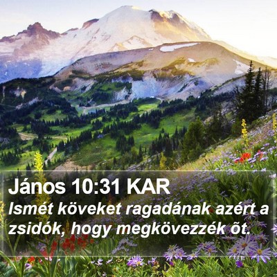 János 10:31 KAR Bible Verse Image