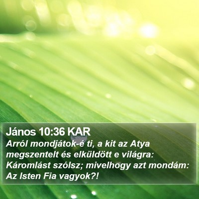 János 10:36 KAR Bible Verse Image