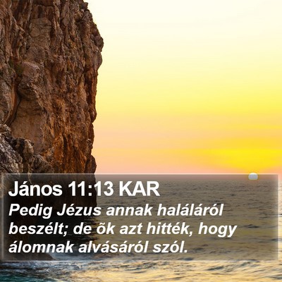 János 11:13 KAR Bible Verse Image