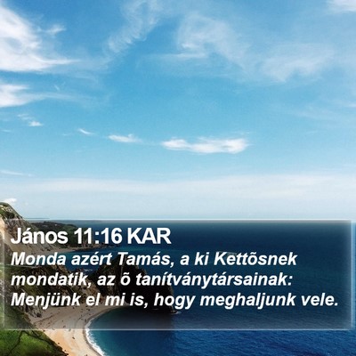 János 11:16 KAR Bible Verse Image