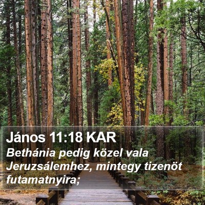 János 11:18 KAR Bible Verse Image