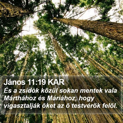 János 11:19 KAR Bible Verse Image