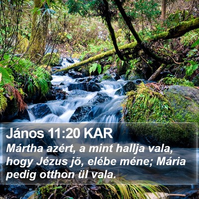 János 11:20 KAR Bible Verse Image