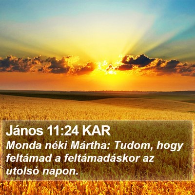 János 11:24 KAR Bible Verse Image