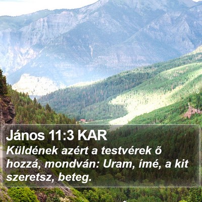 János 11:3 KAR Bible Verse Image