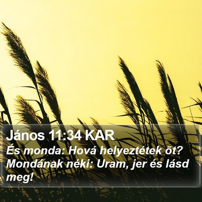 János 11:34 KAR Bible Verse Image