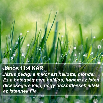 János 11:4 KAR Bible Verse Image