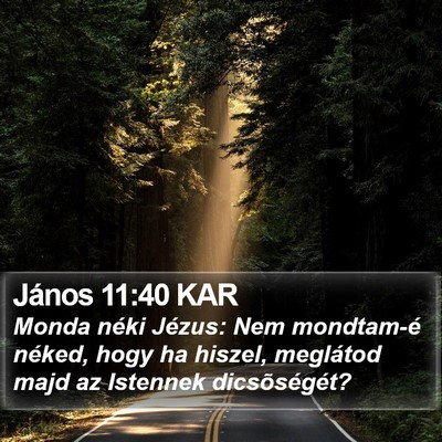 János 11:40 KAR Bible Verse Image