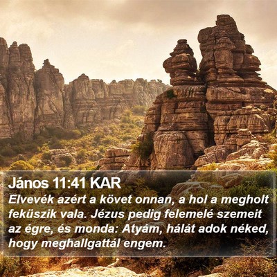 János 11:41 KAR Bible Verse Image