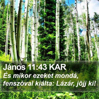 János 11:43 KAR Bible Verse Image