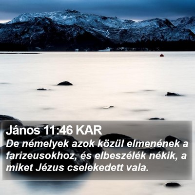 János 11:46 KAR Bible Verse Image