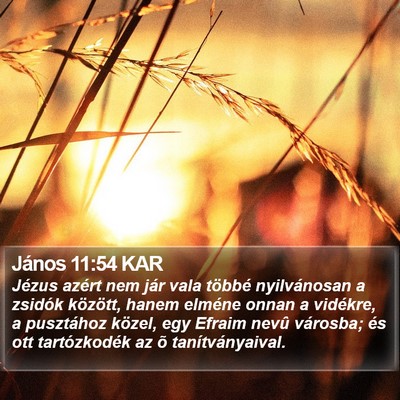 János 11:54 KAR Bible Verse Image