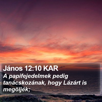 János 12:10 KAR Bible Verse Image