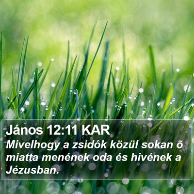 János 12:11 KAR Bible Verse Image