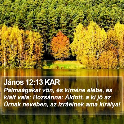 János 12:13 KAR Bible Verse Image