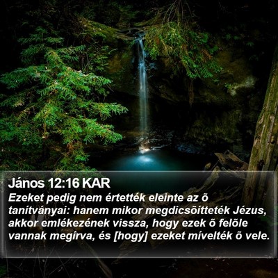 János 12:16 KAR Bible Verse Image