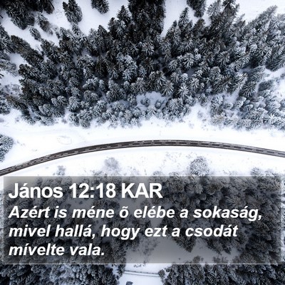 János 12:18 KAR Bible Verse Image