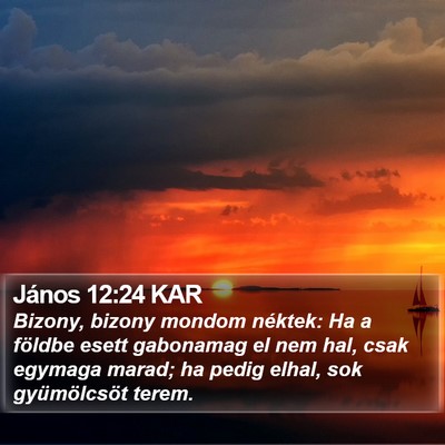 János 12:24 KAR Bible Verse Image