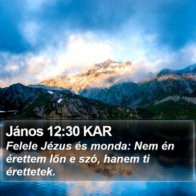 János 12:30 KAR Bible Verse Image
