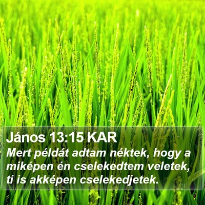 János 13:15 KAR Bible Verse Image