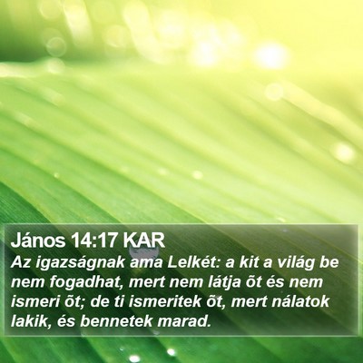 János 14:17 KAR Bible Verse Image