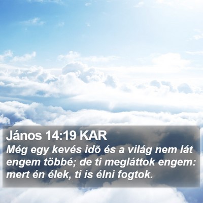 János 14:19 KAR Bible Verse Image
