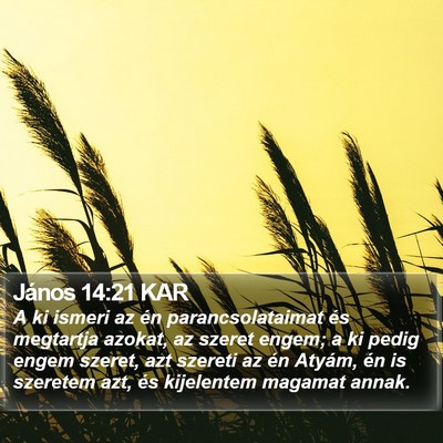 János 14:21 KAR Bible Verse Image